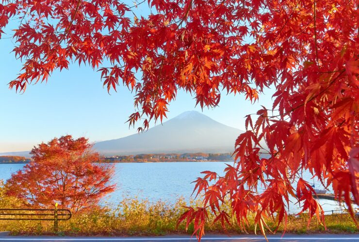 Lake Kawaguchiko and Mount Fuji at sunset during the Momijigari period