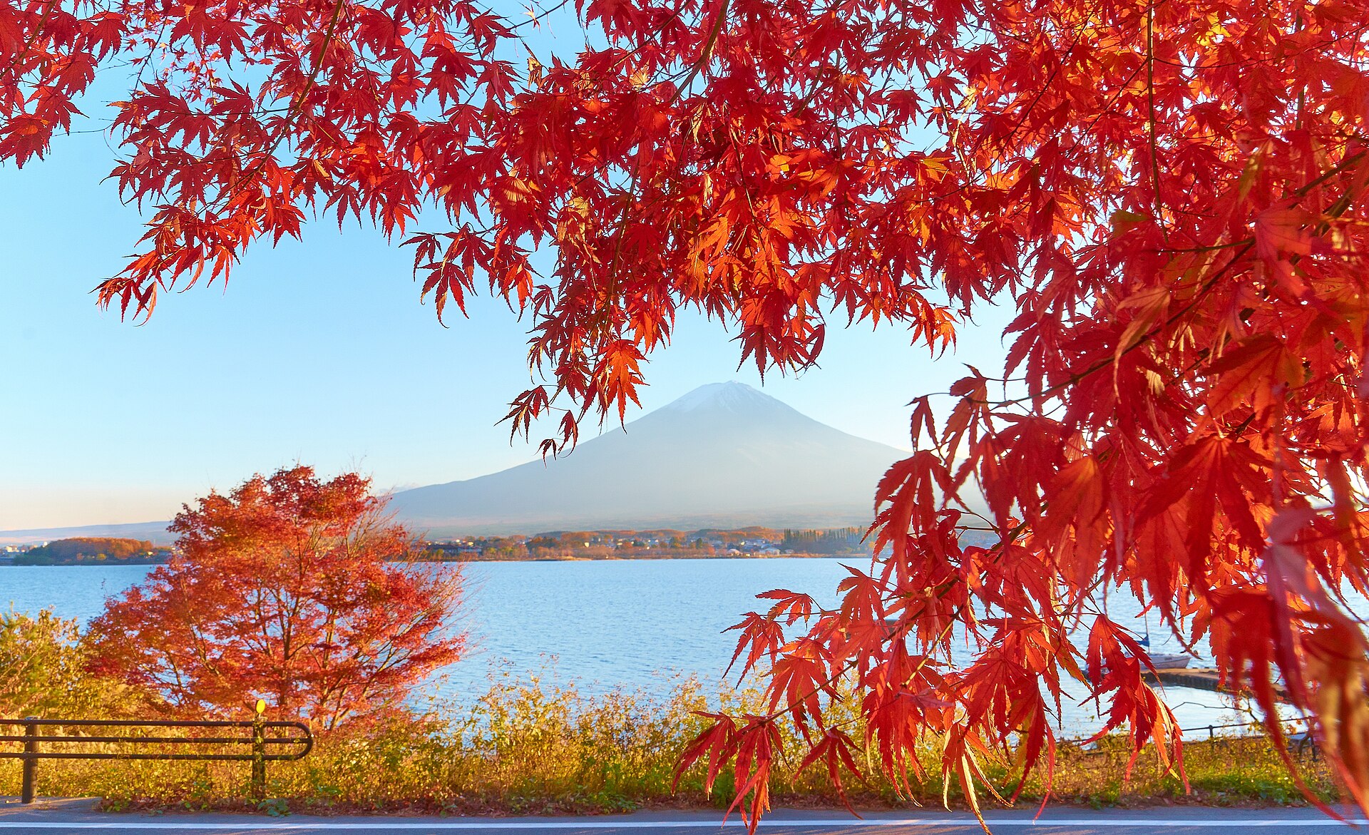 Autumn maples and Mount Fuji at Lake Kawaguchiko