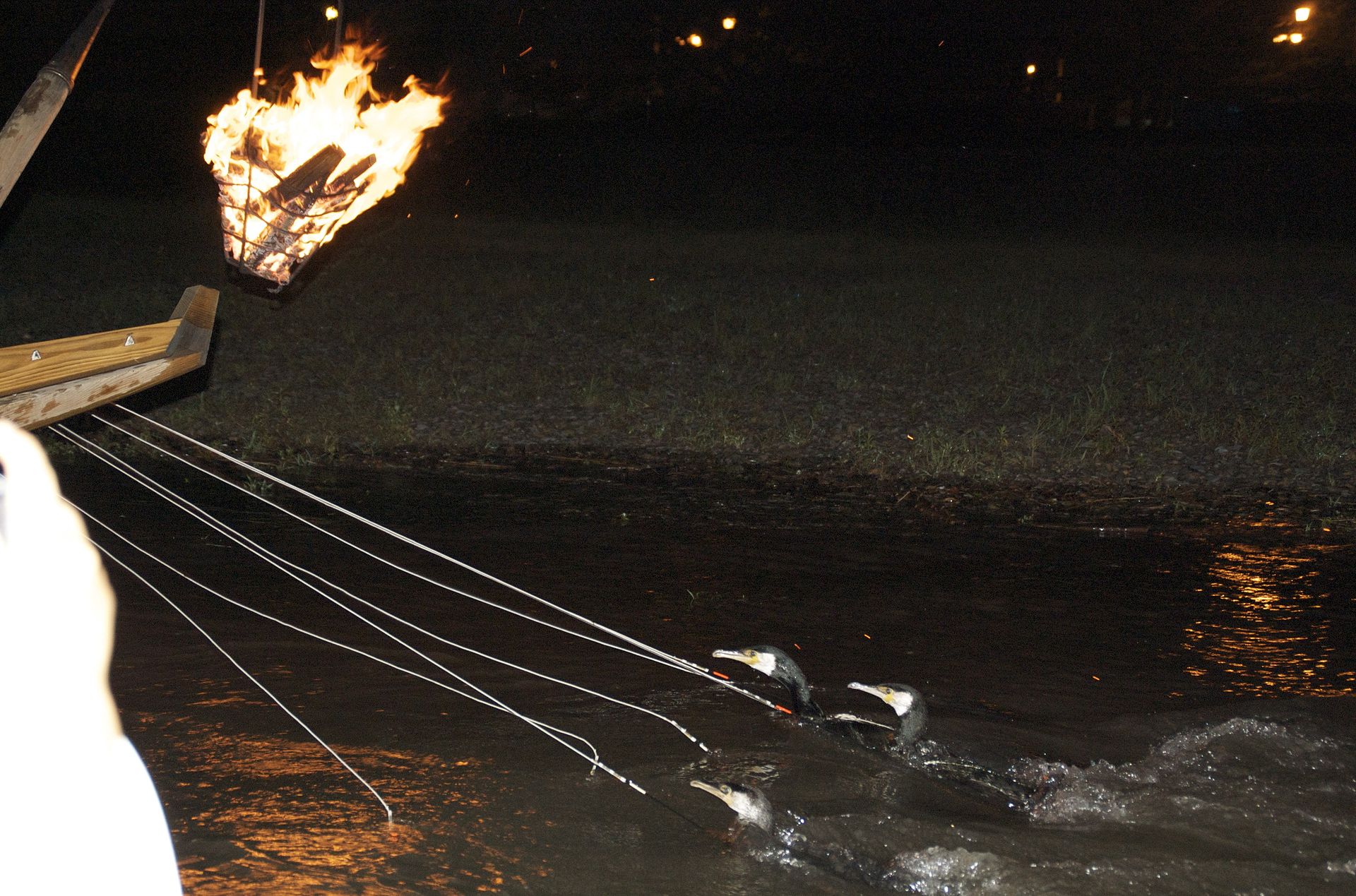 Cormorant fishing boats with fire baskets on the Nagara River