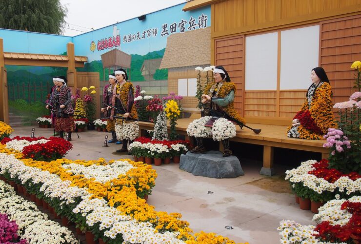 Life-size dolls covered in chrysanthemum blooms at the Takefu Kikuningyo exhibition