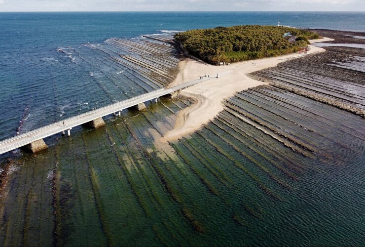 Aoshima island off the Miyazaki coast, ringed by wave-cut rock formations