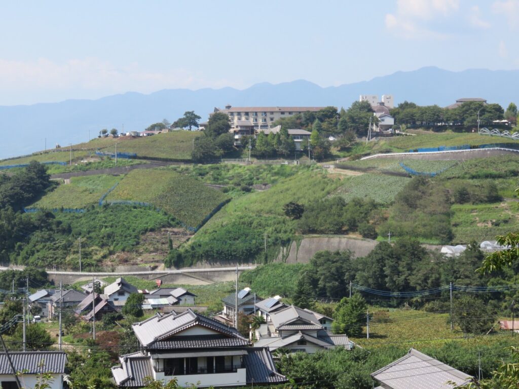 Vineyards on the slopes at Katsunuma in Yamanashi