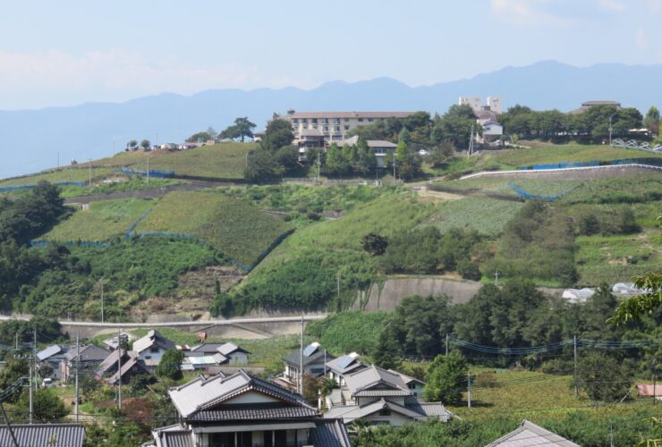 Vineyards on the slopes at Katsunuma in Yamanashi